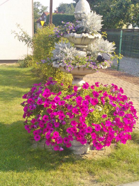 Pokoje Hotelowe Wiktoria Goczałkowice-Zdrój Exterior foto